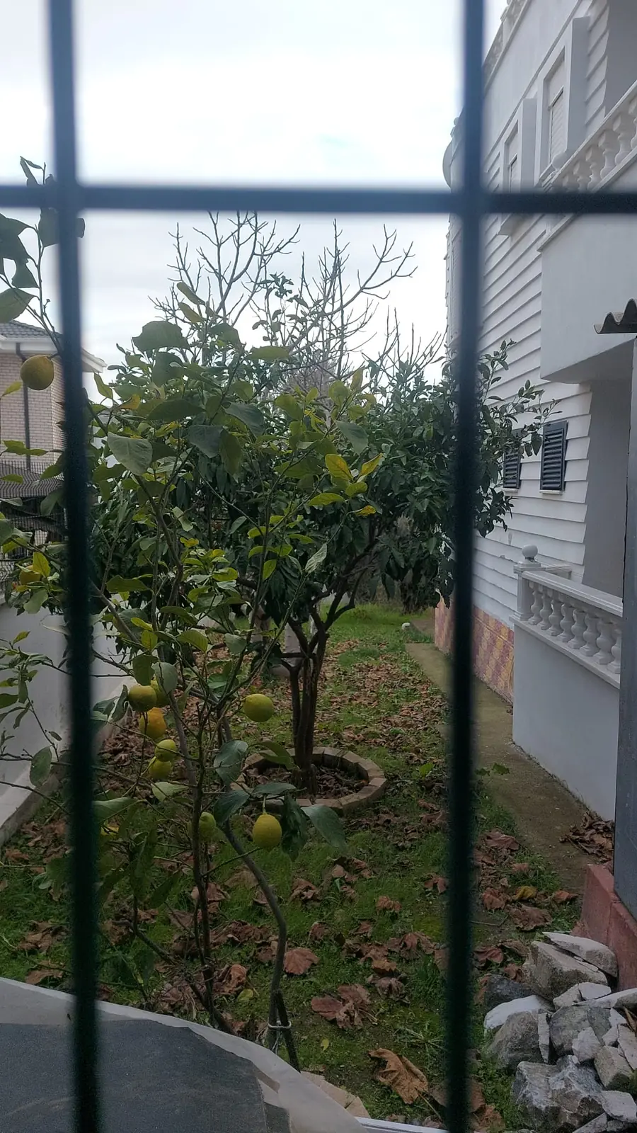 Ihr Gartenrefugium in Çamlıbel, 400 m vom Meer 9