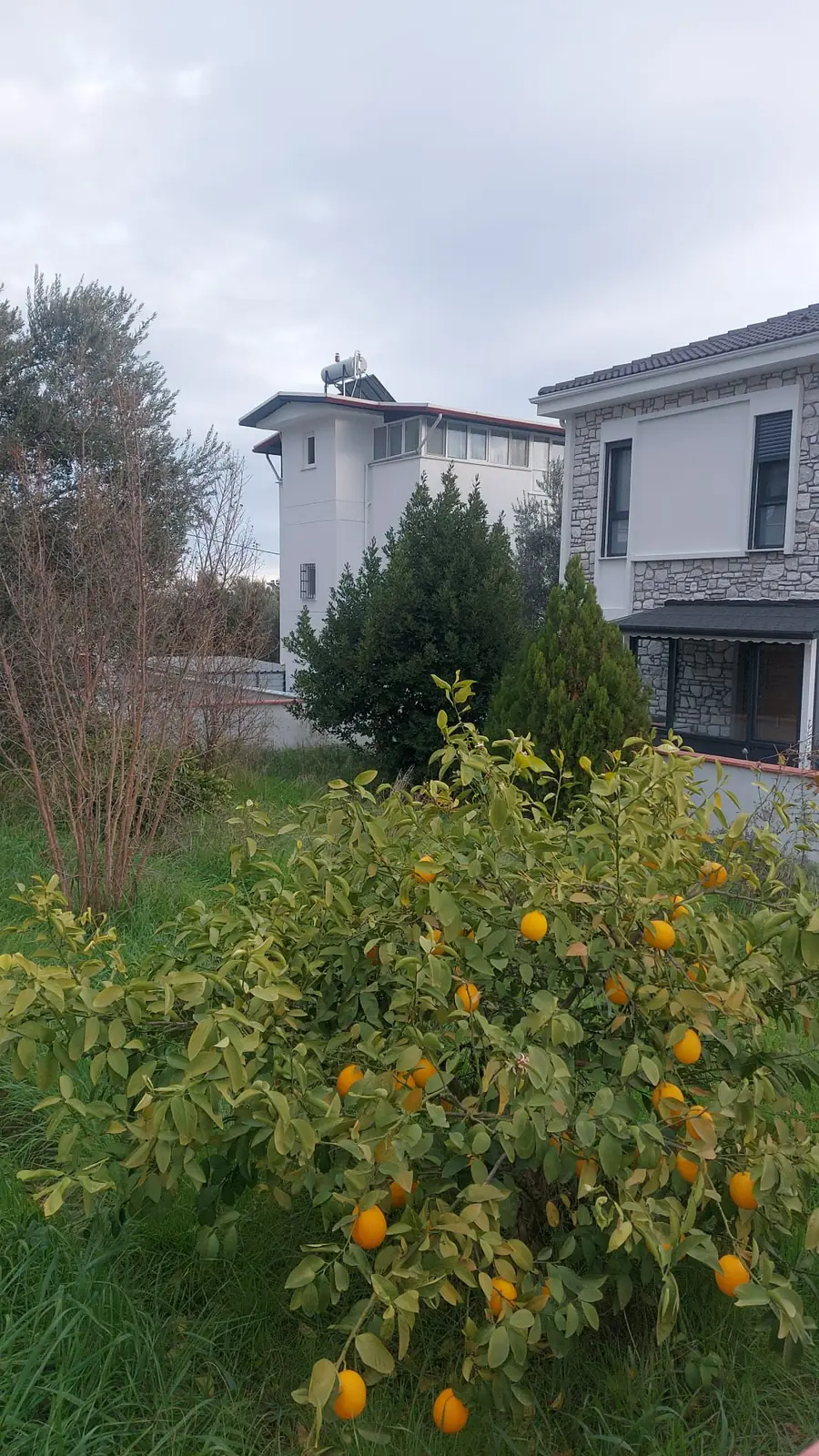 Ihr Gartenrefugium in Çamlıbel, 400 m vom Meer 5